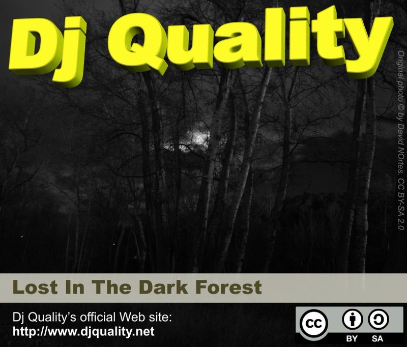 Dj Quality - Lost In The Dark Forest - Front Cover Dj Quality - Lost In The Dark Forest - Front Cover